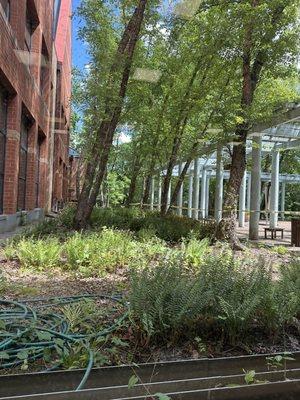 Charles E Beatley Jr Central Library - Alexandria Library