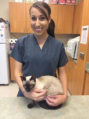 Animal Er Care