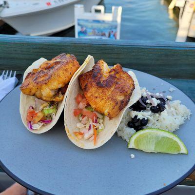 Fresh catch tacos