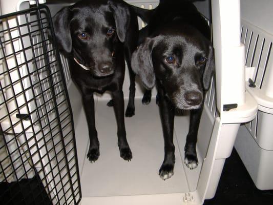 Olivia and Coral, sisters