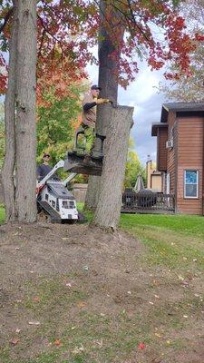 Highland Tree Service