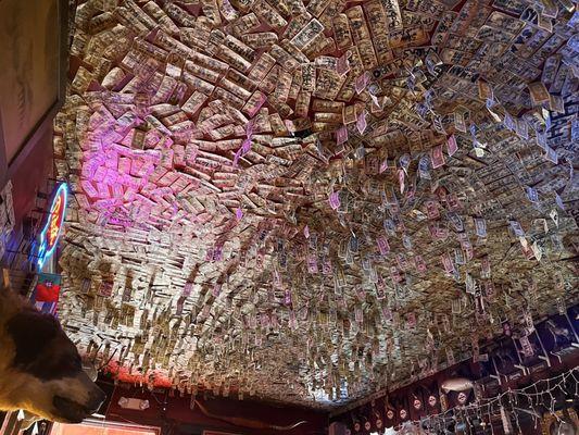 All the dollars bills collected over time!