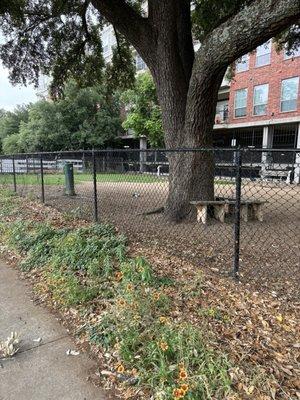 Looking at the dog park from the kids park