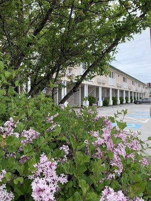 View of Inn Rooms