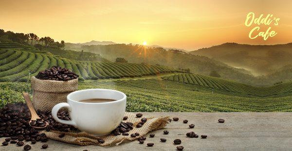 COFFEE CUP WITH SUNRISE FIELDS BACKGROUND