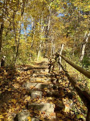 Glen Helen Nature Preserve