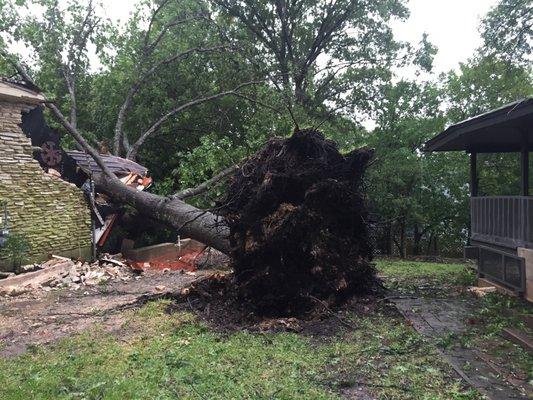 Another company cut and hauled the tree but left that massive stump behind. It was no match for Priced Right Stump Grinding!