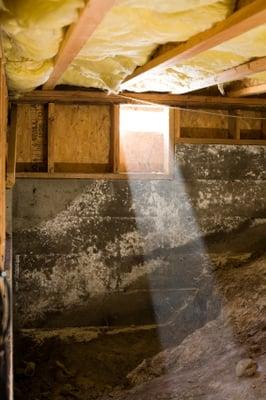 Crawl Space Mold & Vapor Barriers