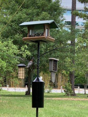 Bird House!