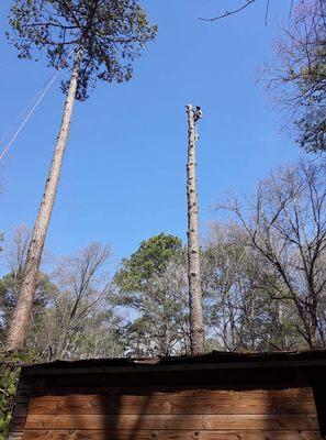 G&G Tree Service