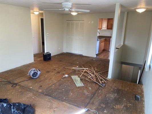 Removal of old flooring.