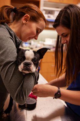 Complete Pet Care Animal Hospital at Wake Forest