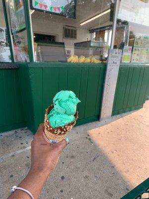 Mint Chocolate Chip on a waffle cone