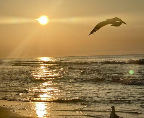 Coligny Beach Park