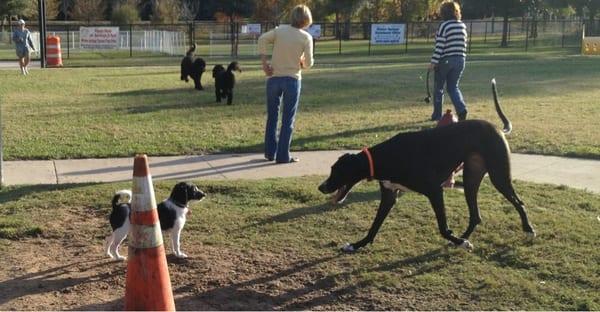 Playing with the big dogs!