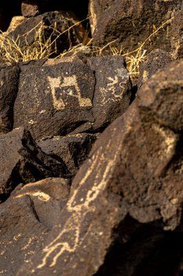 Petroglyph National Monument