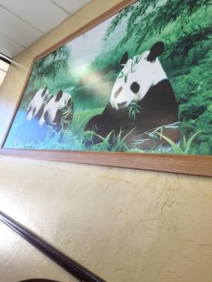 Pandas!