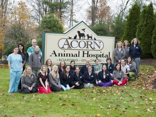 Acorn Animal Hospital