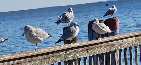 Fort Saybrook Monument Park