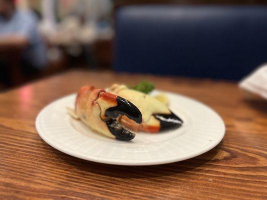 Stone Crab