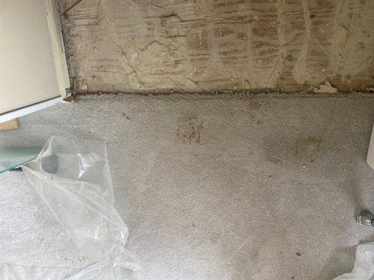 Destroyed my new carpet. Most companies would not damage your home.