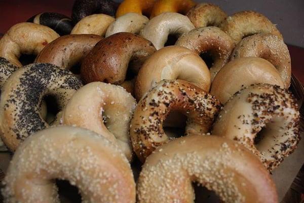 Jays housemade Bagels Fresh Daily