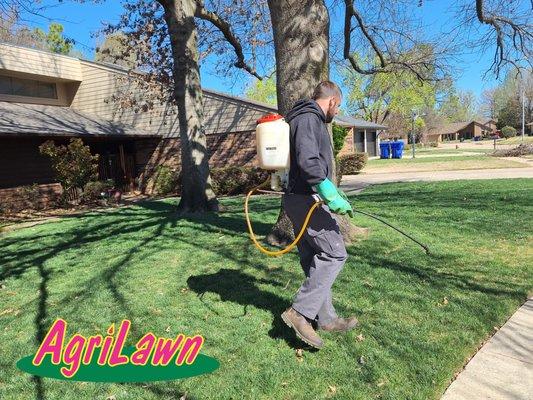 Keeping your lawn pristine! Our expert techs are hard at work, ensuring your lawn stays lush and weed-free.