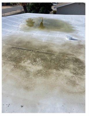 Pooling on roof (before)