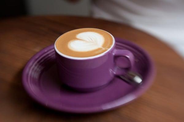 Purple Cortado