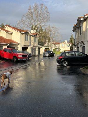 You are not allowed to park in front  of your garage. As you can see, that was not enforced.