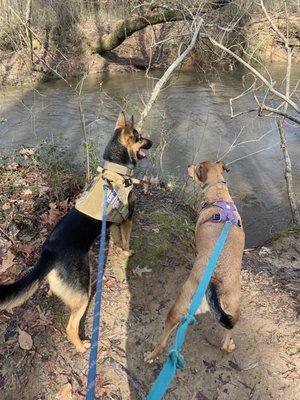 Swift Creek Bluffs Nature Preserve