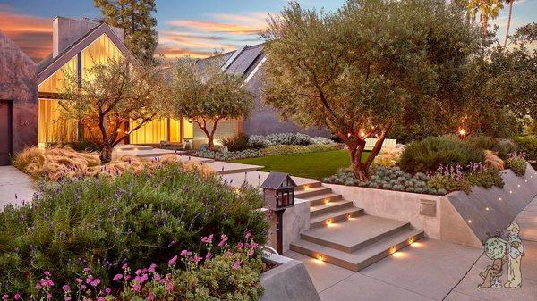 Front yard modern landscape