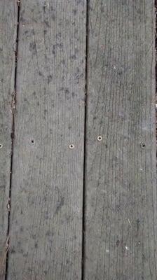 Before Composite Deck Cleaning: This picture is of a composite deck prior to cleaning.