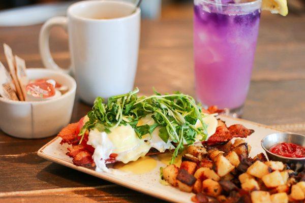 Coffee, Purple Haze, & BLT Benedict w/ hash