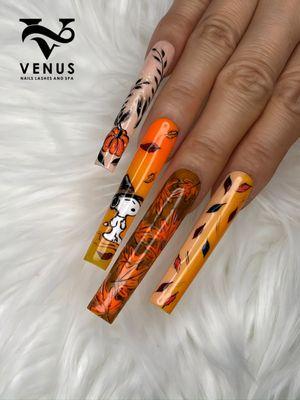 venus nails lashes and spa