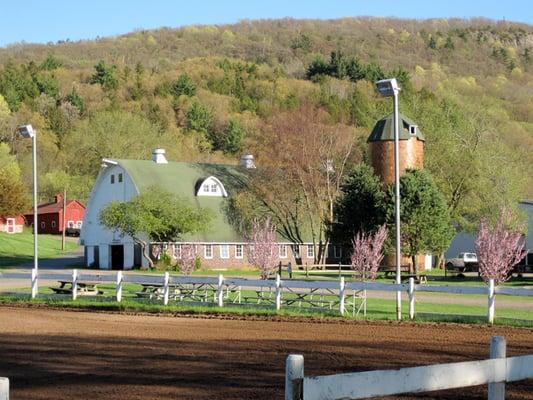 Folly Farm in the Spring