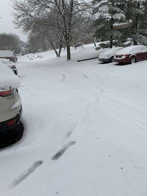 Entire parking lot not touched with plow or salt