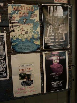 Upcoming shows - Really want to see Lost Cat!!!