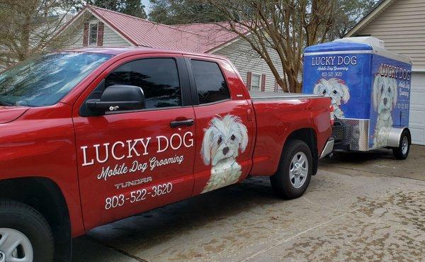 Vehicle Graphics