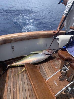 Sweet Sadie Kona Fishing Charters, Luxury Charters