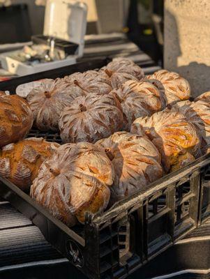 Black Hat bread at raging's anniversary party