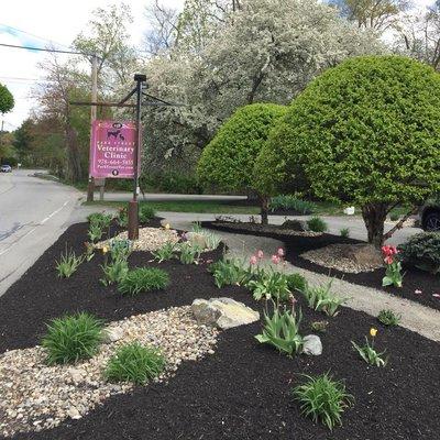 Park Street Veterinary Clinic