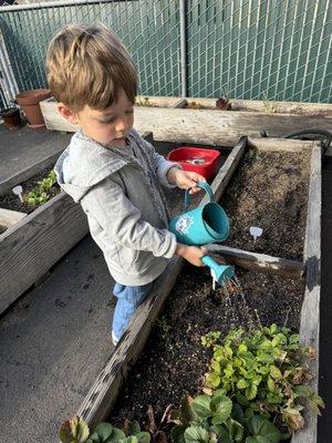 Caring for our garden