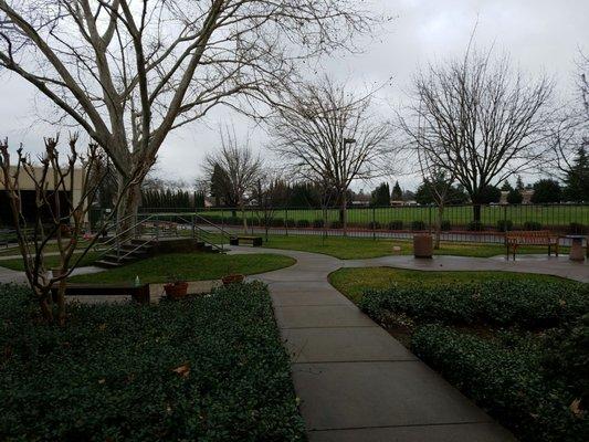 Community Garden Area