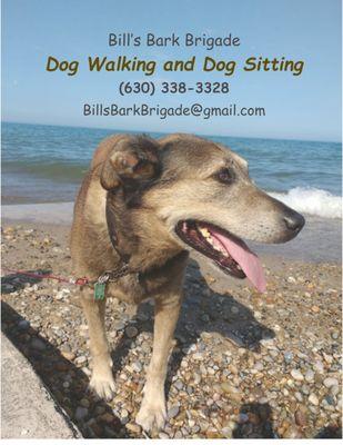 Mr Bill's Bark Brigade