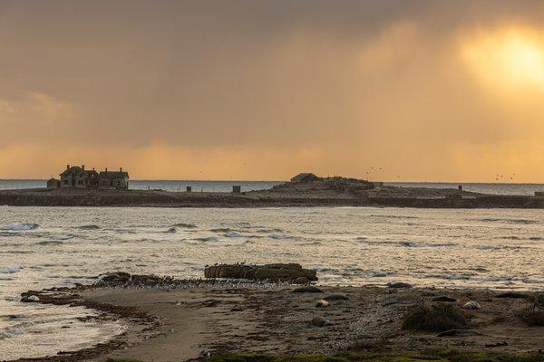 Año Nuevo State Park