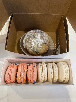 Blueberry muffin, strawberry shortcake macaron, vanilla macaron