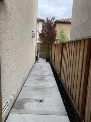 Cement work  on the other side of the house.  What an improvement over the tan bark!