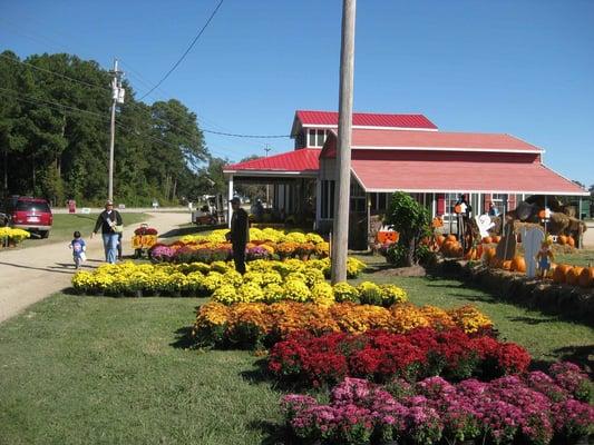 Deans Farm Market - Wilson, NC