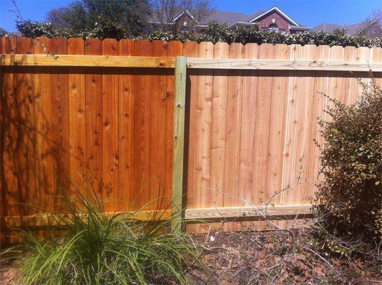 Fence Staining!